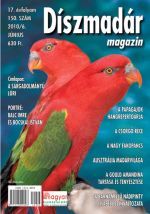 Diszmadár Magazin