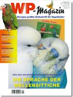 WP-Magazin