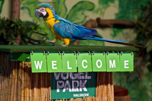 Weltvogelpark Walsrode Weltvogelpark Walsrode