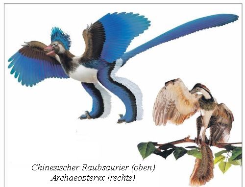 Urvogel